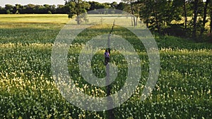 Woman ride bicycle at sun grass field aerial. People at summer nature landscape. Girl active sport