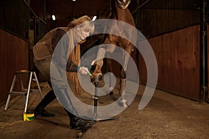 Woman rider applying protective varnish to horse hooves to avoid damage