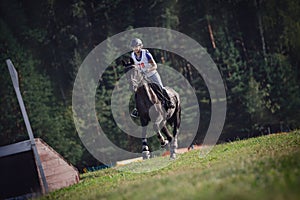 Woman rider and black sport horse galloping energetically to obstacle for jumping during eventing competition