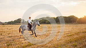 woman rides a field on horseback at sunset. Sports training, equestrian, walking, rental and sale of horses, ranch