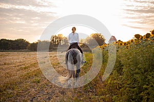 woman rides a field on horseback at sunset. Sports training, equestrian, walking, rental and sale of horses, ranch