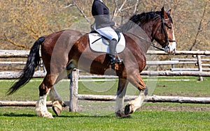 A woman rides a horse in nature