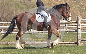 A woman rides a horse in nature