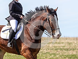 A woman rides a horse in nature