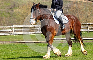 A woman rides a horse in nature