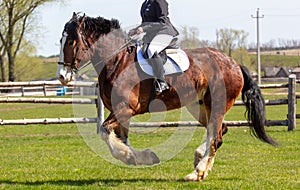 A woman rides a horse in nature