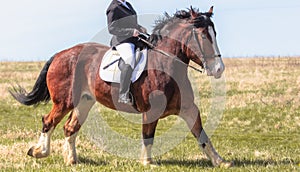 A woman rides a horse in nature