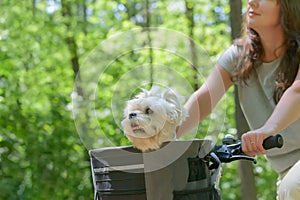 Woman riding a bike with her dog