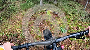 Woman riding a fat tire bike to the lakefront in the nature in summer