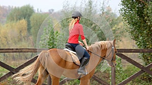 Woman riding horse, back view.