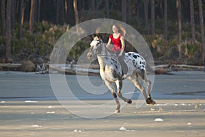 Woman riding horse on the beach