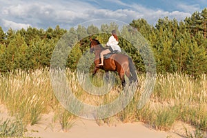 a woman riding a horse on a beach side field by a wooded area