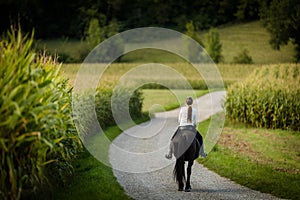 Woman riding a horse. Equestrian sport