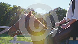 A woman is riding a horse at an outdoor manege