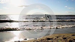 Woman riding on horse at river beach in water sunset light