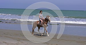 Woman riding a horse on the sand on a sunny day