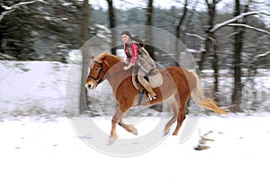 Woman Riding a Horse the Snow