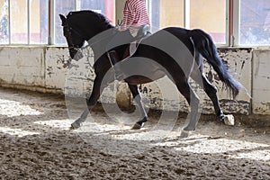 Woman is riding a horse on a training ground