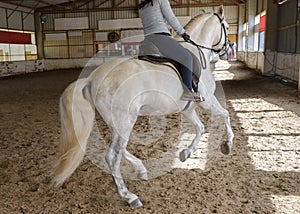 Woman is riding a horse on a training ground