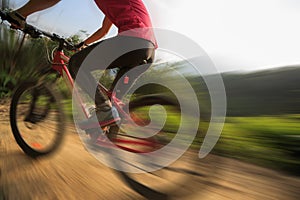 Woman riding mountain bike on forest