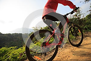 Woman riding mountain bike on forest trail