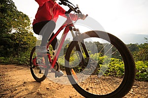Woman riding mountain bike on forest trail