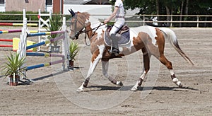 Woman riding a pinto horse