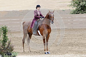 Woman riding Saddlebred horse