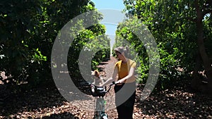 Woman riding a small dog on a bicycle in an avocado garden