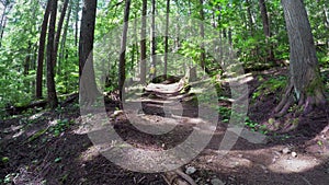 Woman riding unicycle in the forest 4k