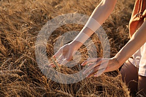 Woman in ripe wheat spikelets field, closeup