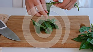 A woman ripping off basil leaves.