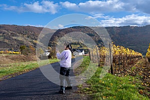 A woman on a road going through a wine district n the Mosel valley. Beautiful yellow vine leaves and green grass
