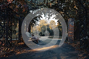 Woman in romantic attire relaxing outdoor in autumn park and enjoying good weather view on pond and sunset.