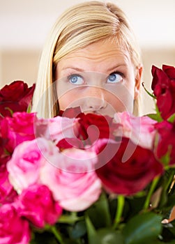 Woman, rose bouquet and eyes with closeup, beauty and arrangement with studio background, surprise and gift. Look