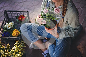 woman with a rose plant in a pot in her hands sitting at home on the terrace on a spring day. Flower seedlings for the