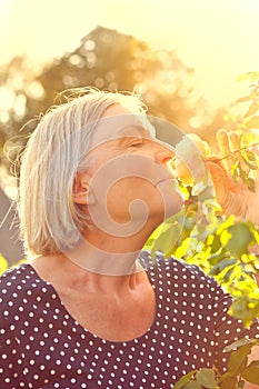 Woman rose scent orange light