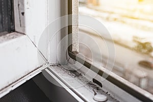 A woman in a rubber glove points to the mold. Plastic window and window sill in mold and dirt. Fungus and dampness at the wet