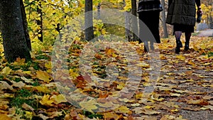 Woman running with feet close up on autumn morning. Two women walking past.