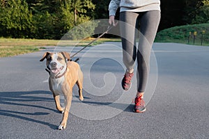 Woman in running suit jogging with her dog. Young fit female and