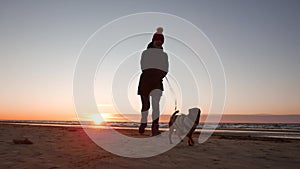 Woman running, walking, playing and having fun with her doggy at sunset on a beach near Baltic sea in spring. Colorful