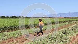 A woman runs with her little dog along a rural field