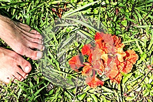 Woman`s bare feet on the grass next to circle of orange petals photo