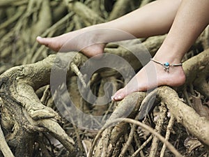 Woman's Bare Feet On Roots