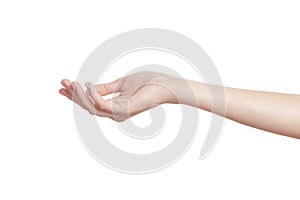 Woman`s beautiful hand holds out something on a white background