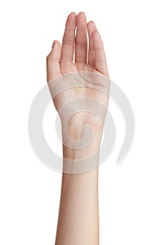 Woman`s beautiful hand holds out something on a white background