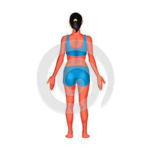 A woman`s body is visible from behind with white background illustration