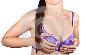 Woman's breasts in a lavender brassiere isolated photo