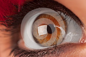 Woman's brown Eye Closeup