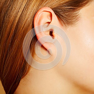 Woman`s ear close up, anatomy concept